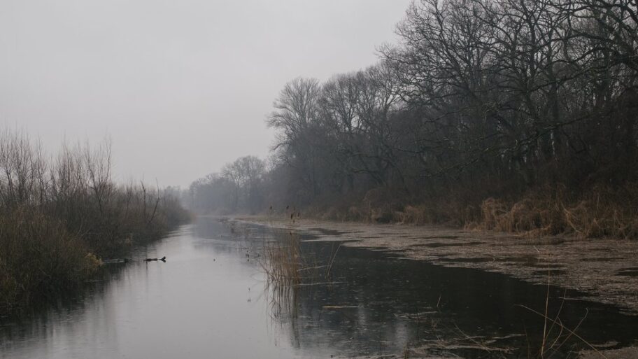 123089379 obedskabara zasavica vz january 2021 024