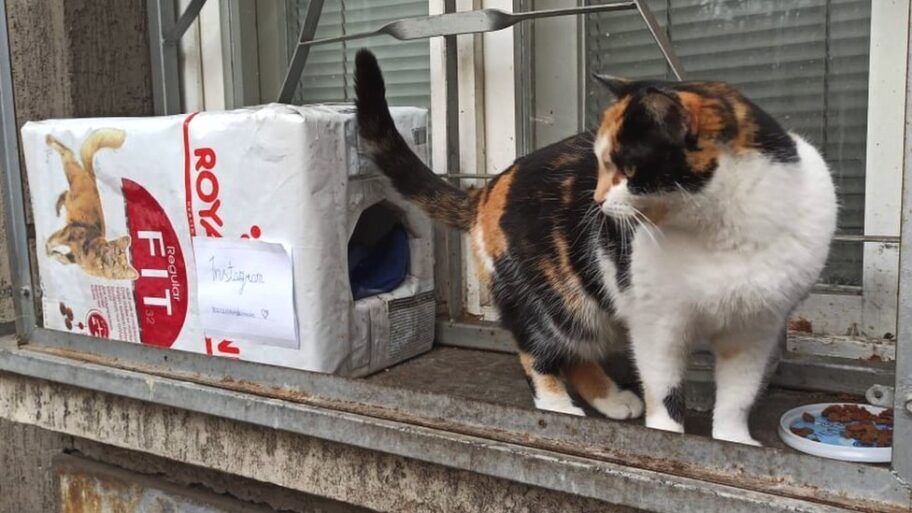 123167416 b616f3d8 40f1 45ed 8ae9 232793fbedf2