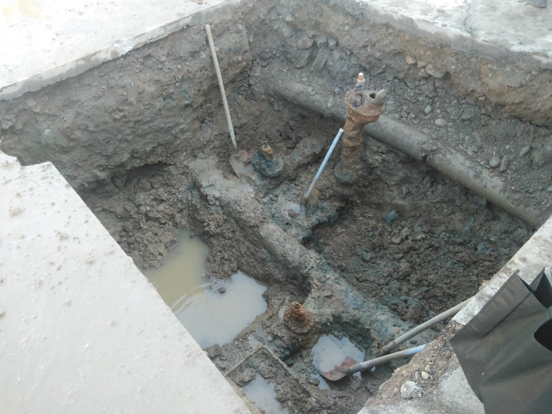 IMG d5e1e724728d7af41ea96037c31b82e8 V