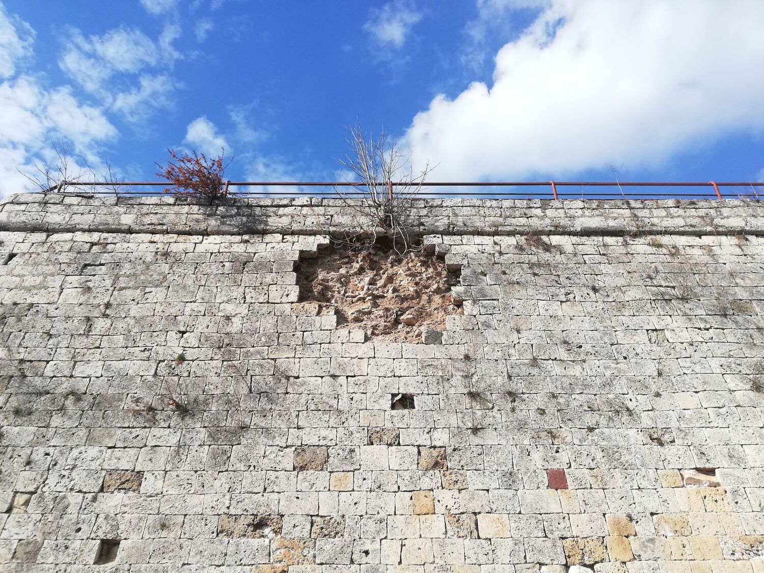 272685384_483507389853795_8845887397780607032_n