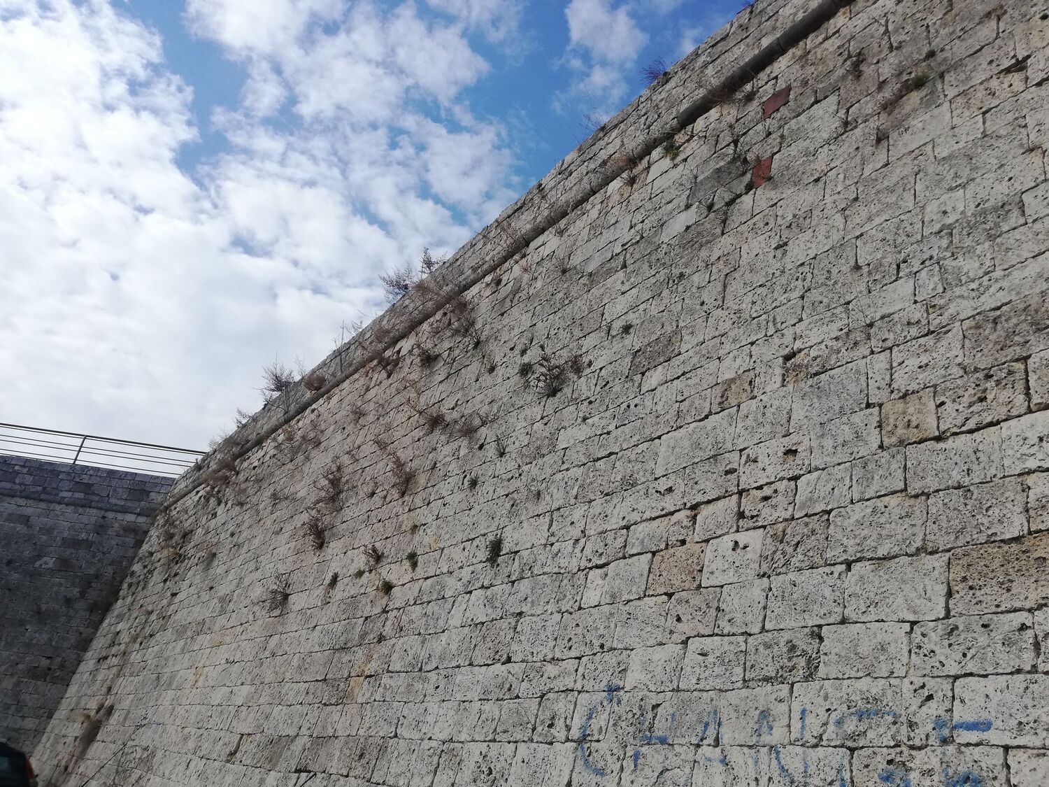 272741636_636114204391062_1952323947355365013_n