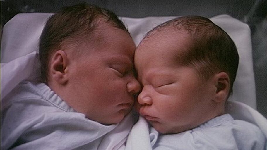 123343765 tv000001745