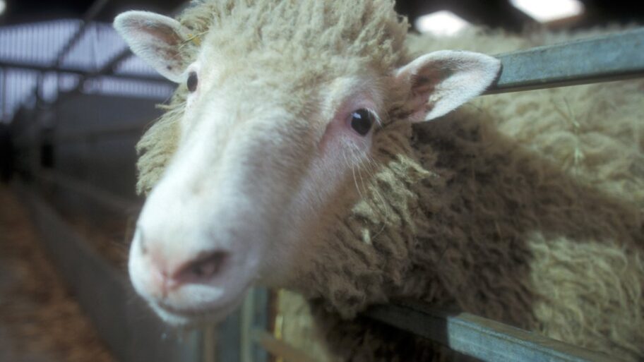 123348958 hi002227491