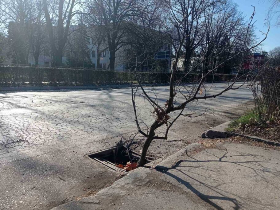 vojvode putnika 2 foto m m