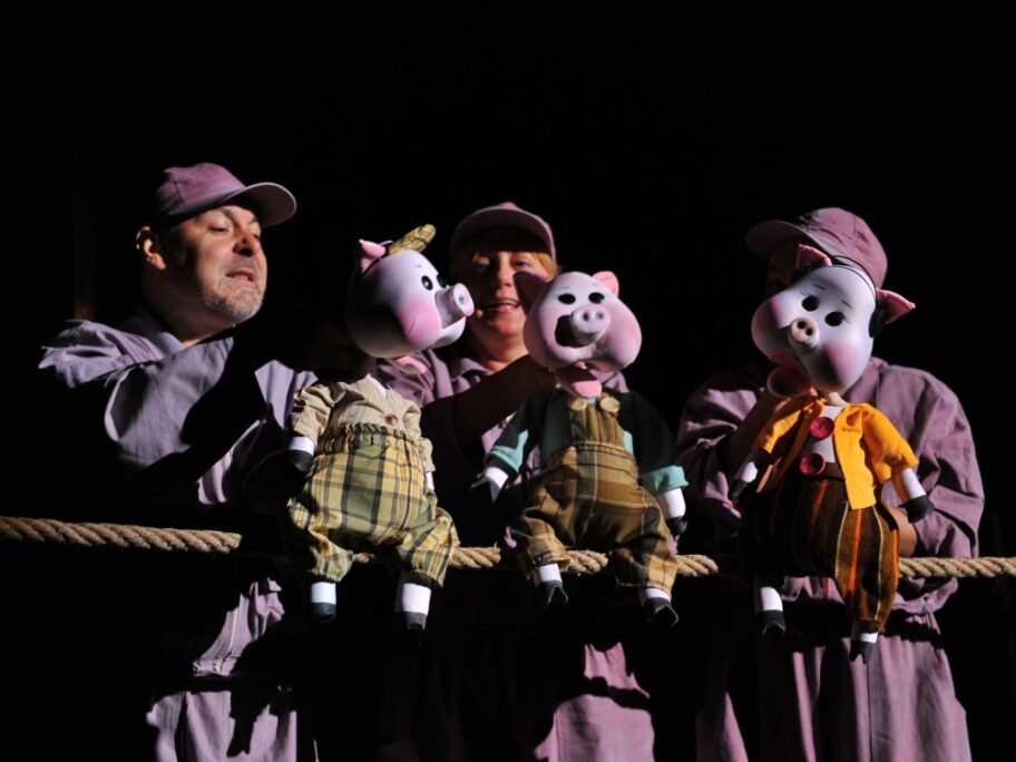 tri praseta foto arhiva pozorista lutaka