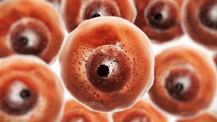 123470753 ezgif com gif maker