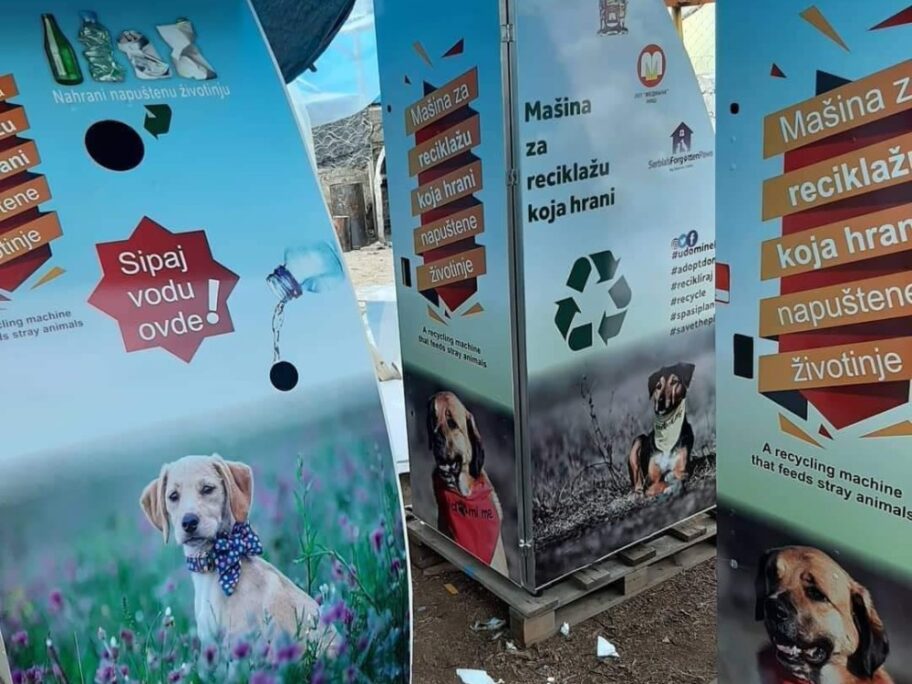 275659395 702543624091509 1193953290708518507 n 1