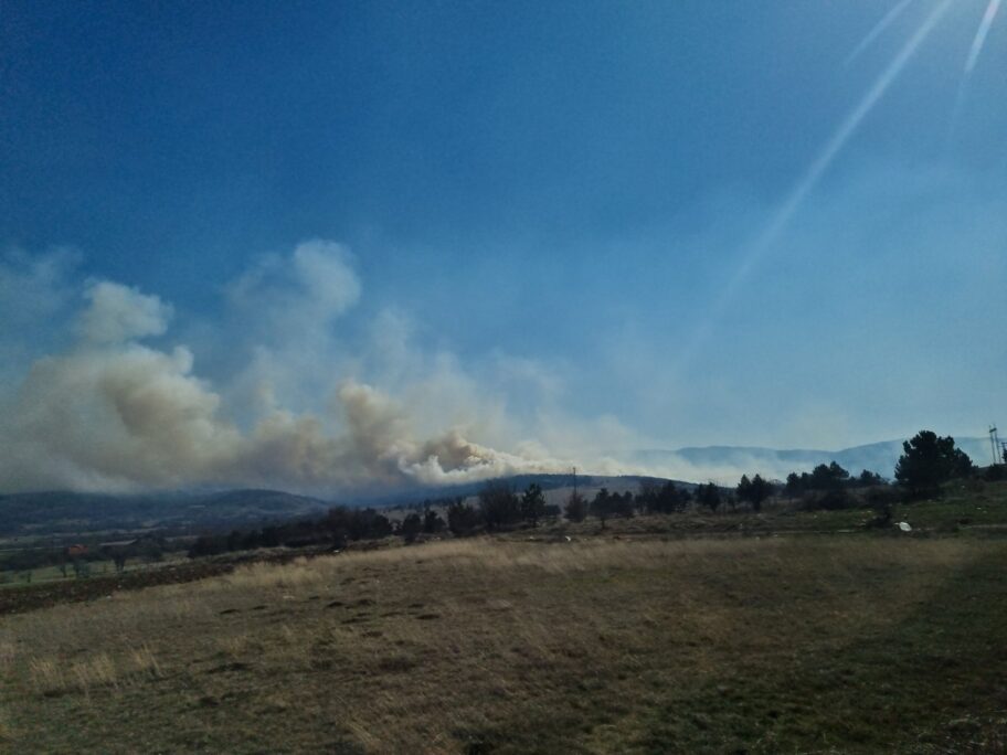 Za 2 dana 18 požara i 5 prekršajnih prijava zbog paljenja u Pirotskom okrugu 8 pozar pirot foto lj f