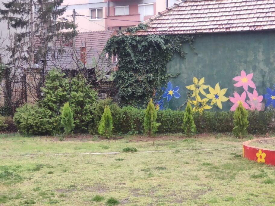 sadnja drveca medijana 4x3