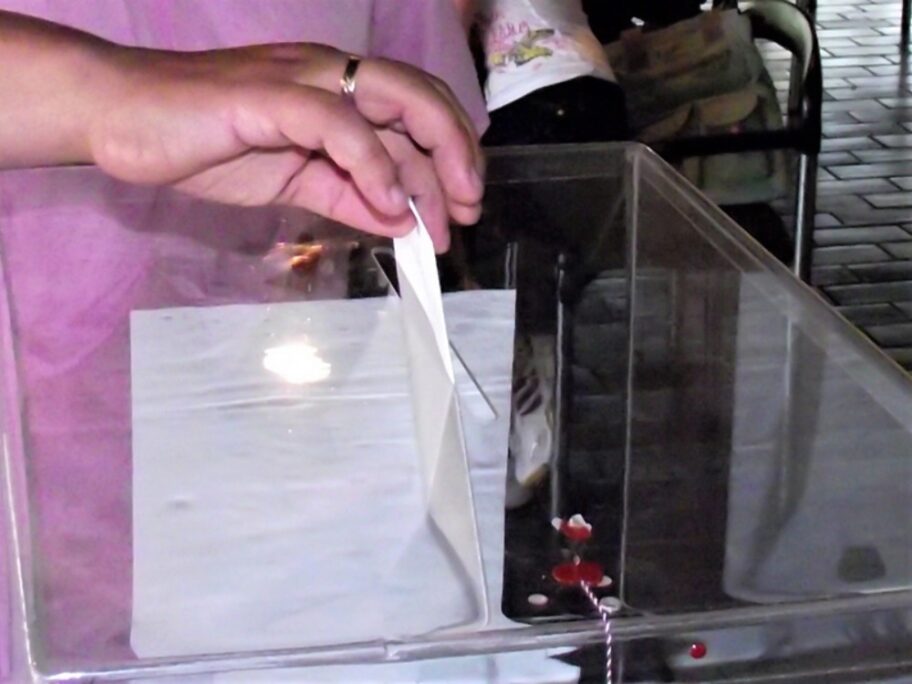 Žalba Koalicije Albanaca u Upravnom sudu - odluka o četvrtom krugu glasanja u Trnovcu 12 glasanje foto a k