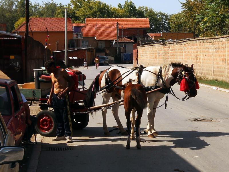 Na Svetski dan Roma ljudi na marginama društva strahuju od siromaštva i jačanja desnice u Srbiji 12 800x600 romi foto milos zlatanovic