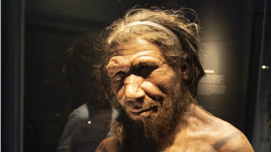 Srbija i arheologija: Susret neandertalaca i praljudi kod Niša - šta nam govore novootkriveni fosili 8 116664716 neanderthal large gettyimages 951044058