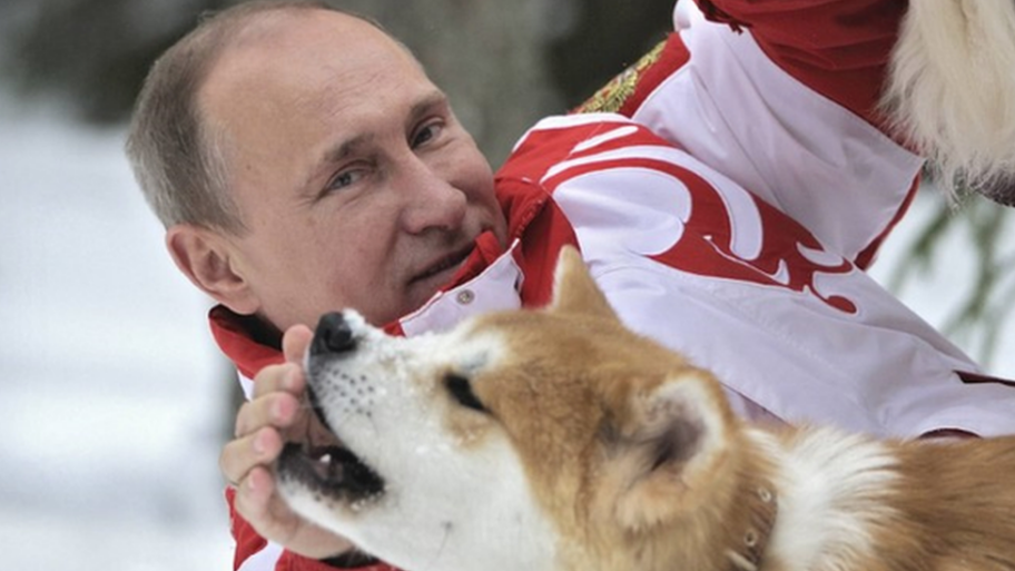 124096355 putin dogs2