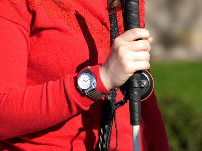 Slepi u Srbiji imaju pravo, ali ne i mogućnost tajnog glasanja na izborima 9 Naslovna slepi