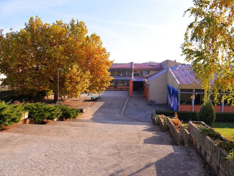 Nastavnica engleskog dala otkaz, tvrdi da je bila izložena mobingu – iz škole u Blacu sve negiraju 6 BOR 1422