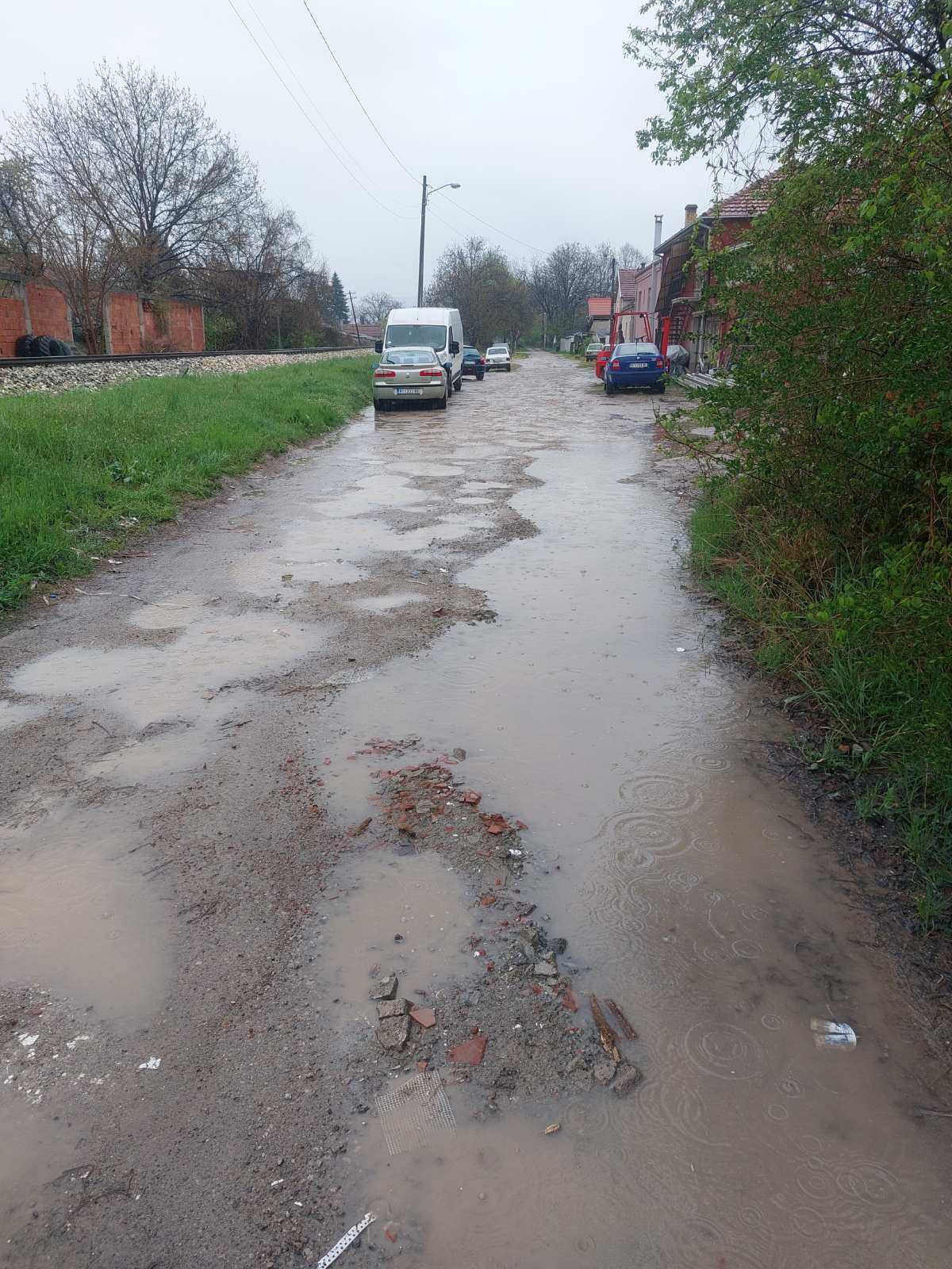 Dimitrovgradska ulica