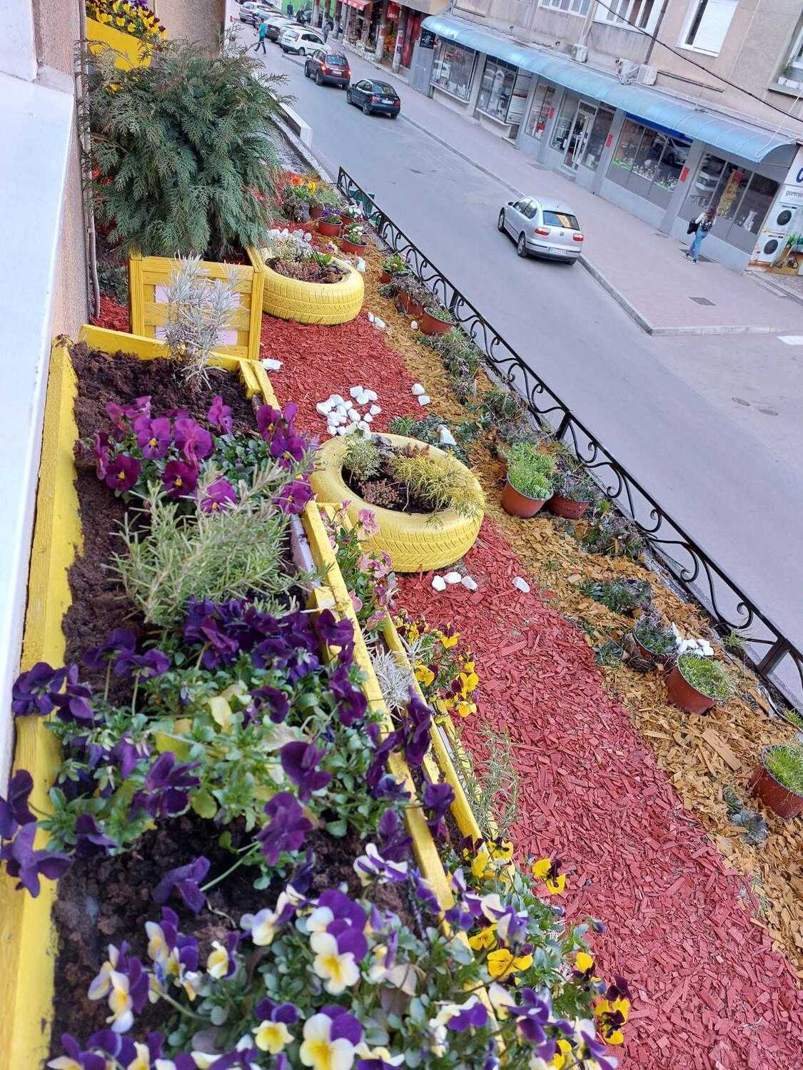 cvetni vrt na balkonu - foto - b. v.