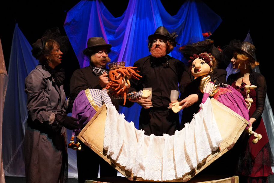 Pozoriste lutaka Trnova ruzica 1