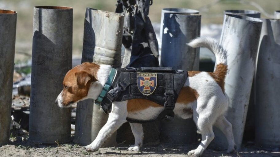 124646205 tv075789842