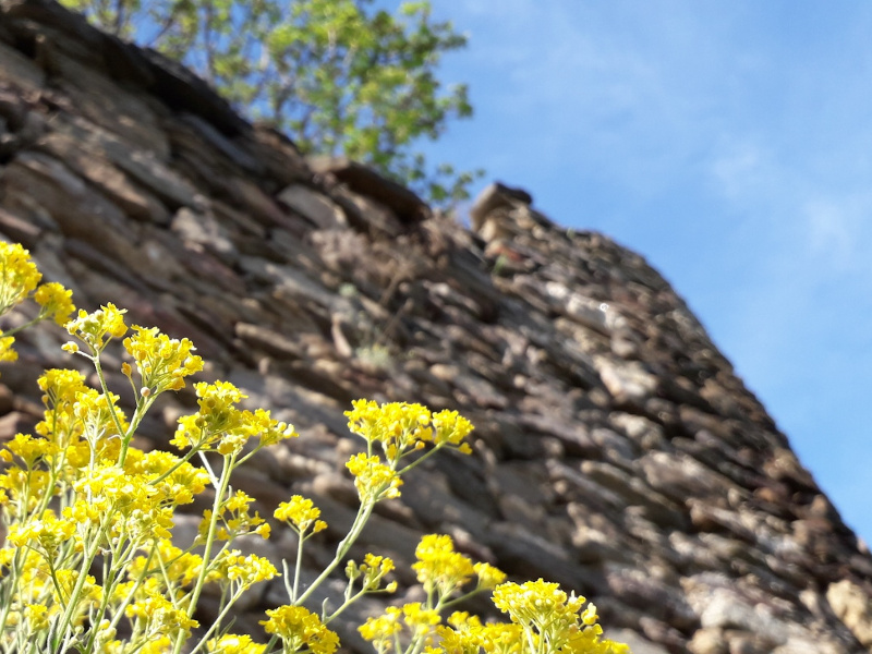 Markovo kale - Vranje
