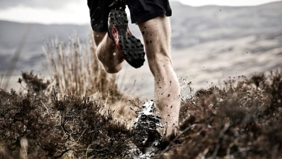 119634496 62875ef0 318a 44e3 a325 e4ed2554a261