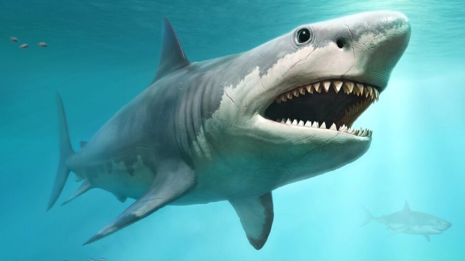 124981797 megalodongettyimages 1004792742