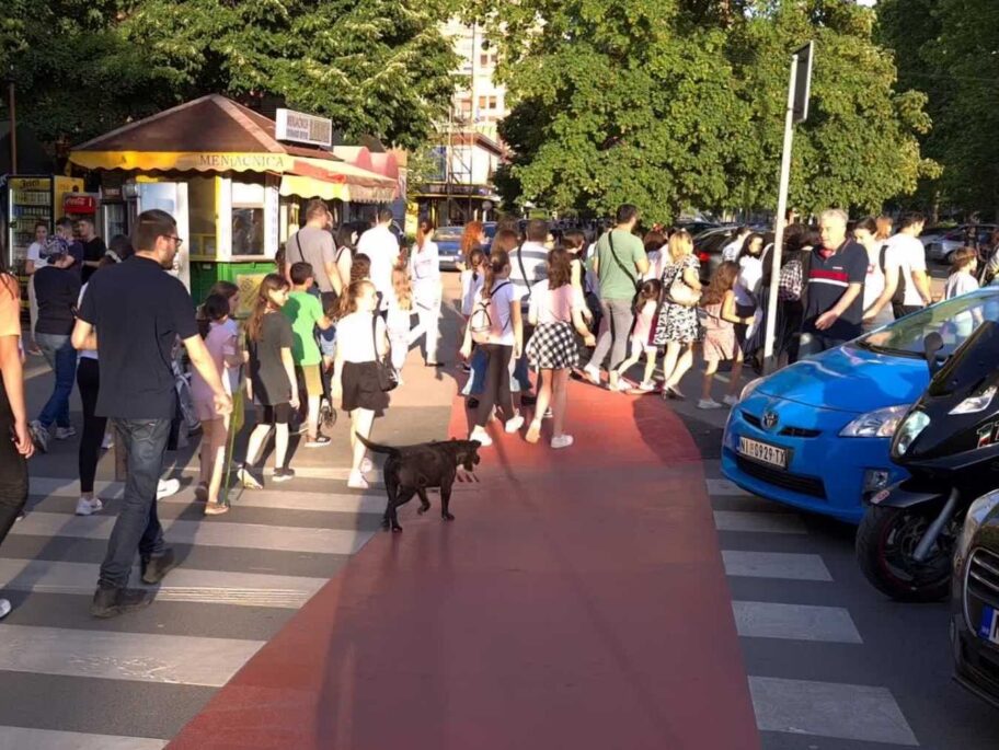 Zbog izgradnje parkinga pored škole roditelji i deca šetnjom blokirali saobraćaj u Nišu 6 protest skola