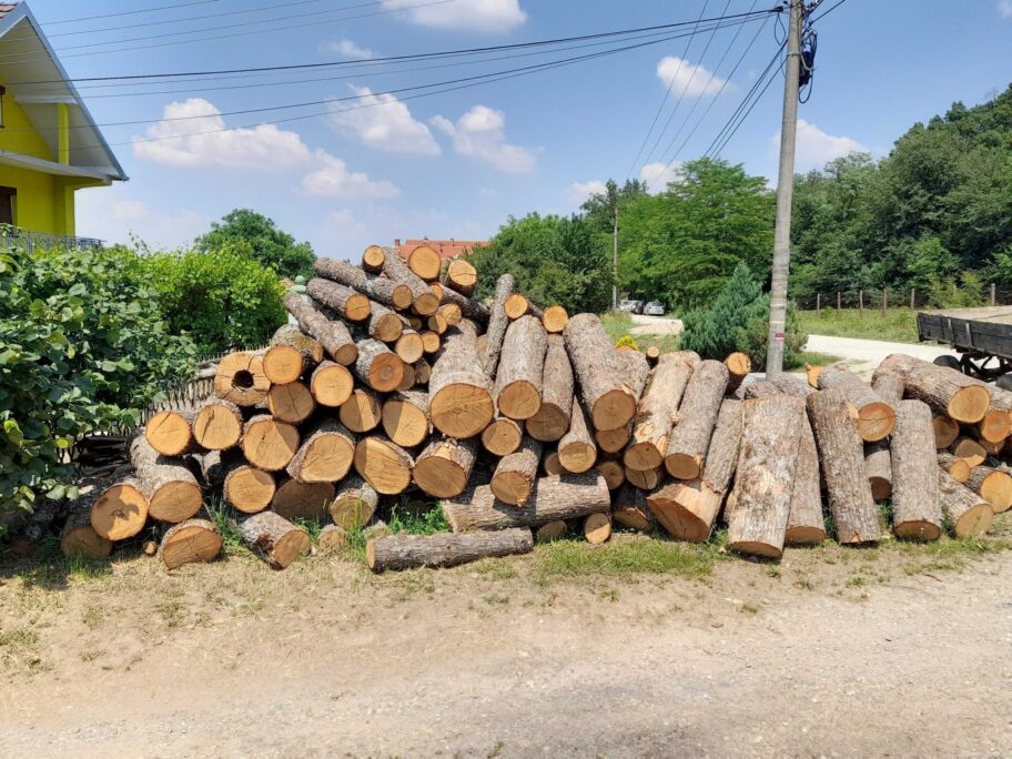Drva za ogrev na jugu sve skuplja - potražnja sve veća, građani sve zabrinutiji 17 20220603 135601 scaled
