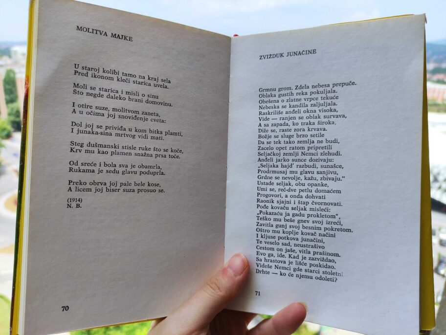 Pesme Jesenjina foto jv ljubica jocic scaled