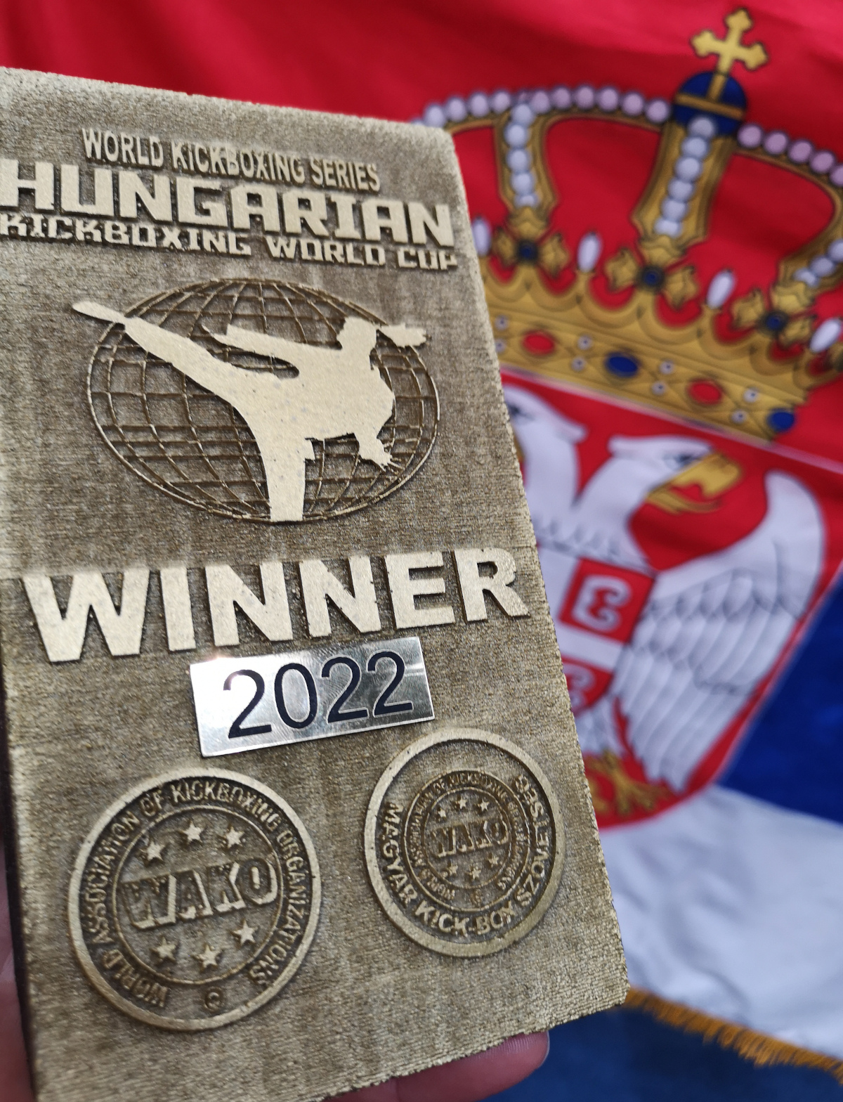 Kik-bokseri iz Niša osvojili pet svetskih medalja 2 srbija najbolja ne svetskom kupu, foto kik boks klub nis