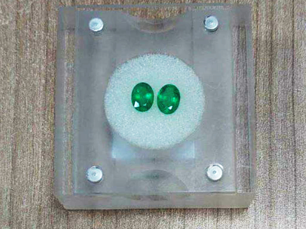 pokusali da prenesu novac i smaragde, foto mup 4