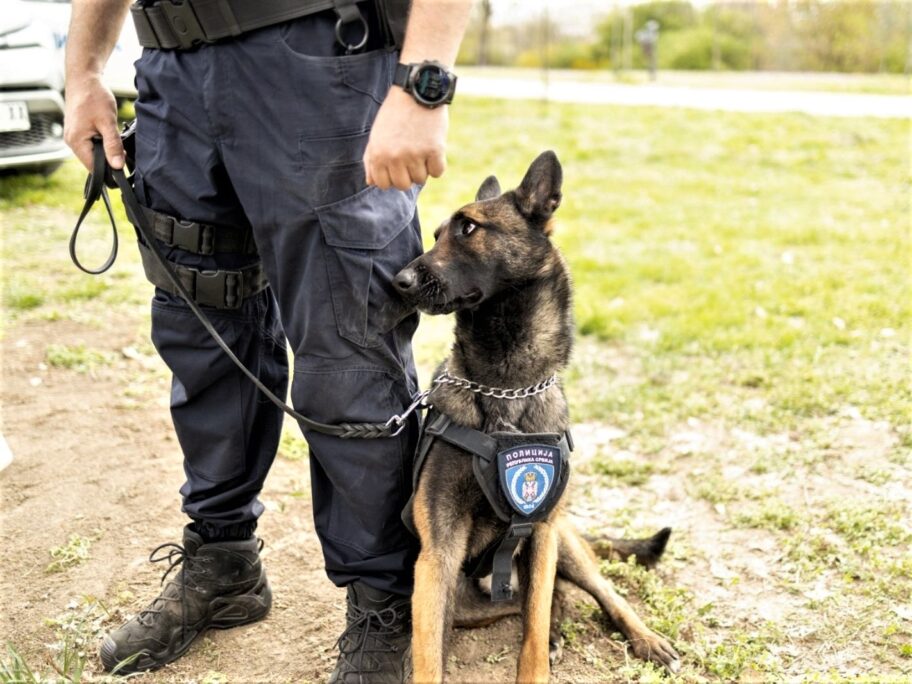 Lažna dojava o bombi u leskovačkom Osnovnom sudu 6 278473749 510393690646518 4946682646490870170 n