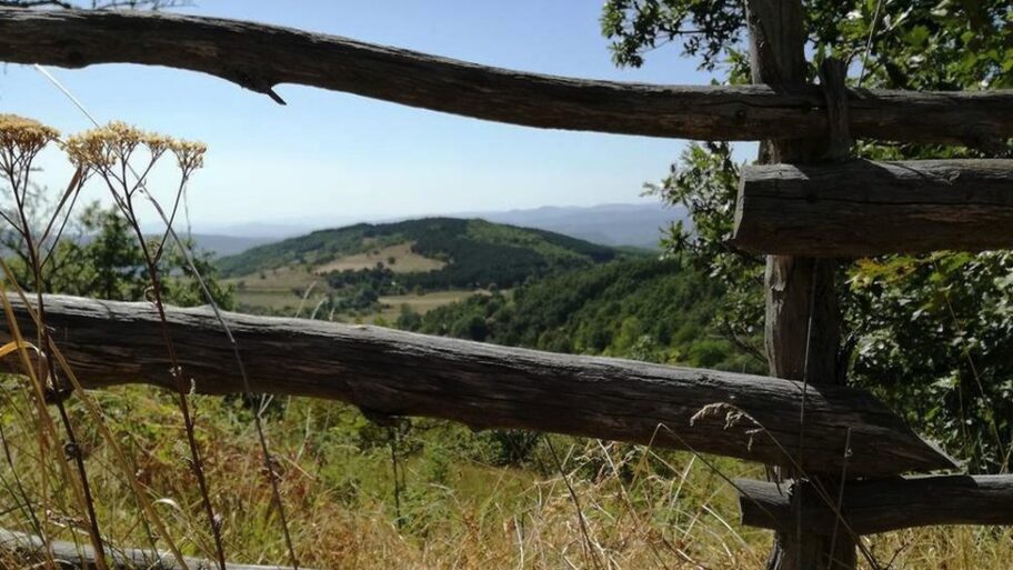 125664161 75801cf7 681e 45e7 a33f b3fa32a71d8e