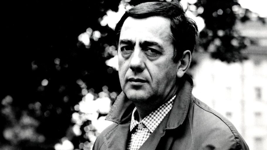 125669613 14509 viii d 211037