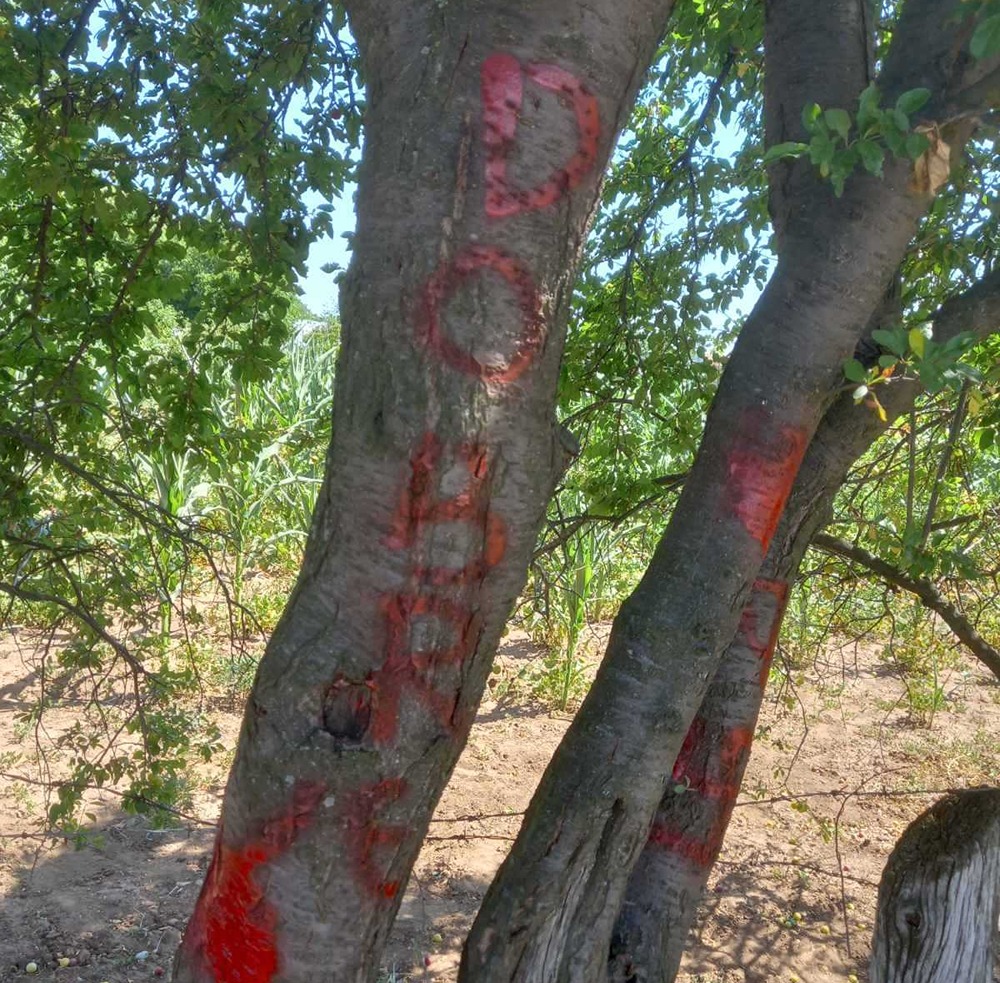 kukasti krst popovac 3 - foto - čitalac