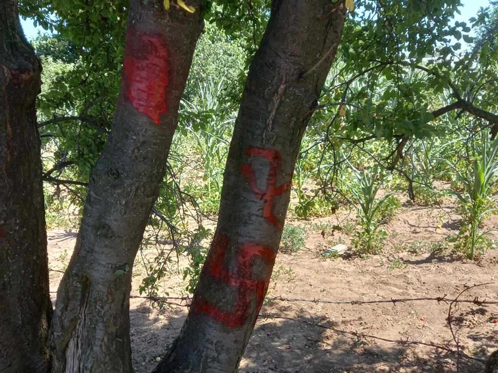 kukasti krst Popovac