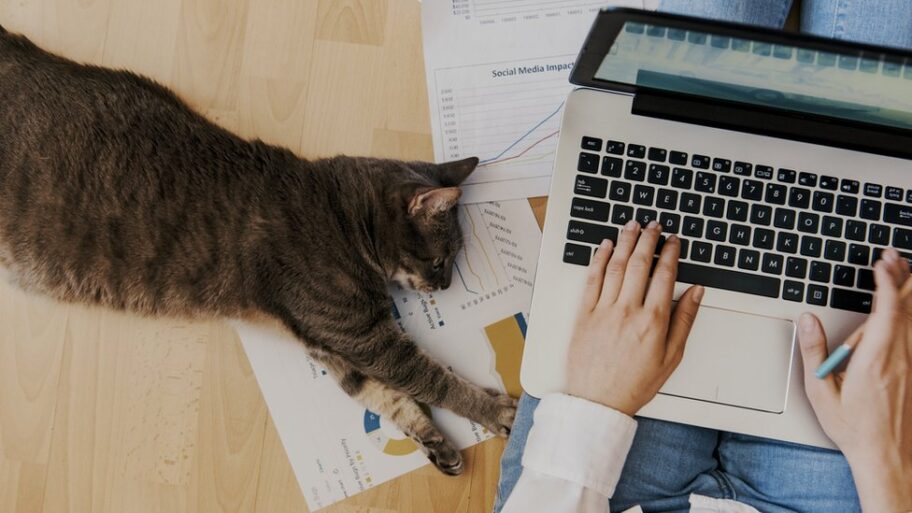 125804805 gettyimages 1218544522