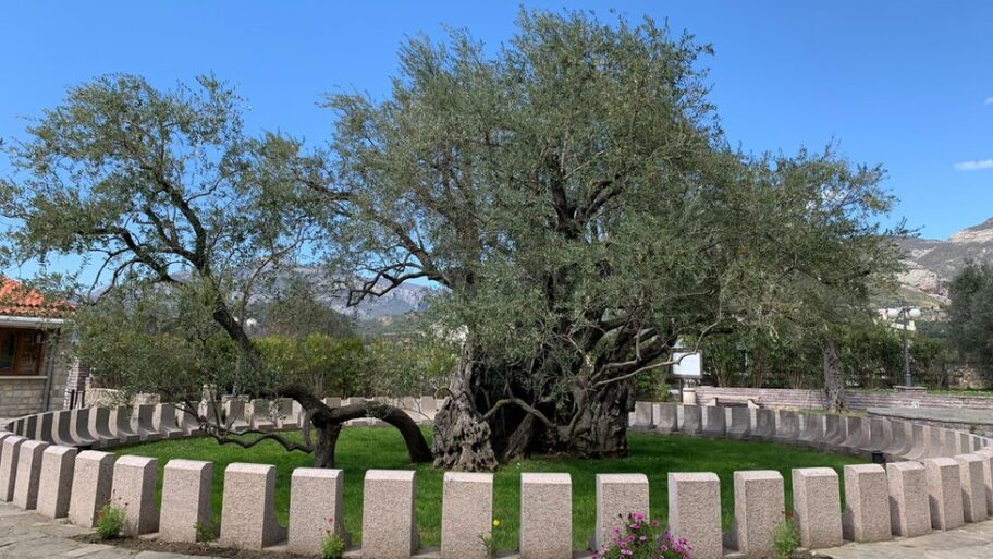 124234056 imagefromios 93