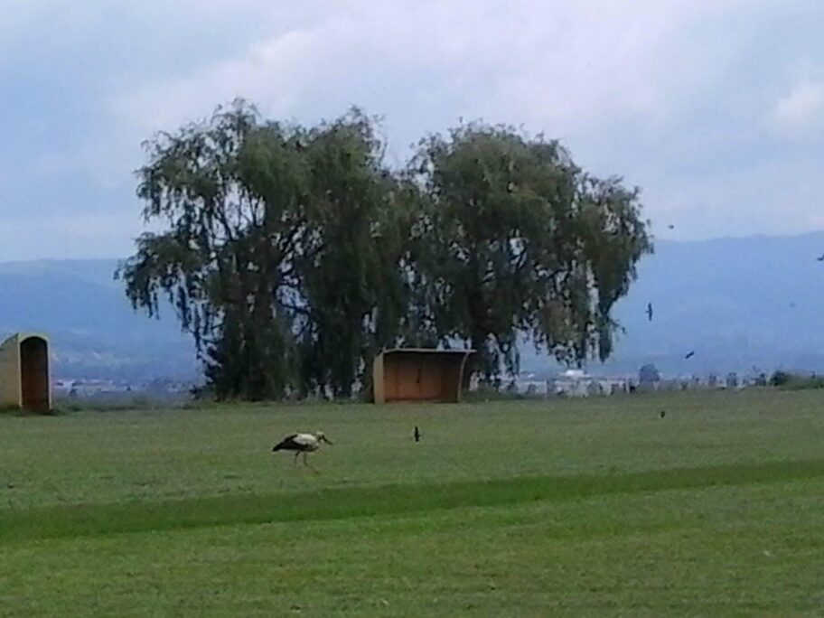 Pank, pivo i fudbal: Ladovica, selo sa tri pank benda i najpoznatijim ”Pivskim festivalom” 17 Image from iOS 3