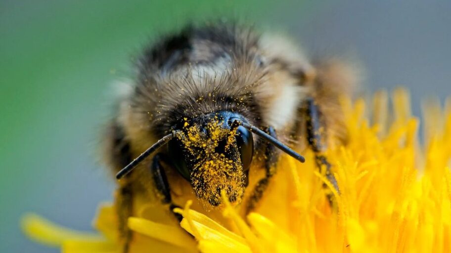 126005164 b76c4095 42e6 4e91 9815 c89e857b31de