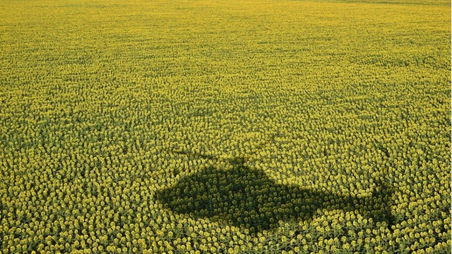 126067790 584ef4ad 6690 4d59 ae86 d7c5e398ce33