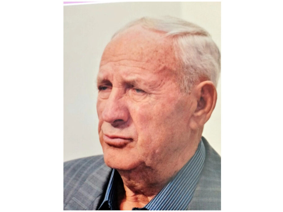 Nestao Svetislav Radojicic