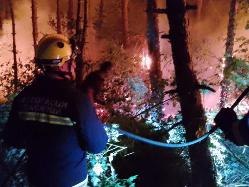 vatrogasci, pozar presevo, foto mup 8