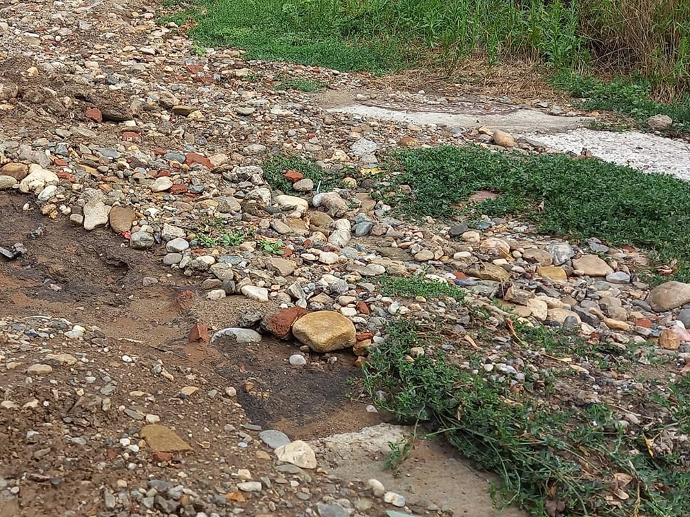 Ulica Serdara Jola Piletića