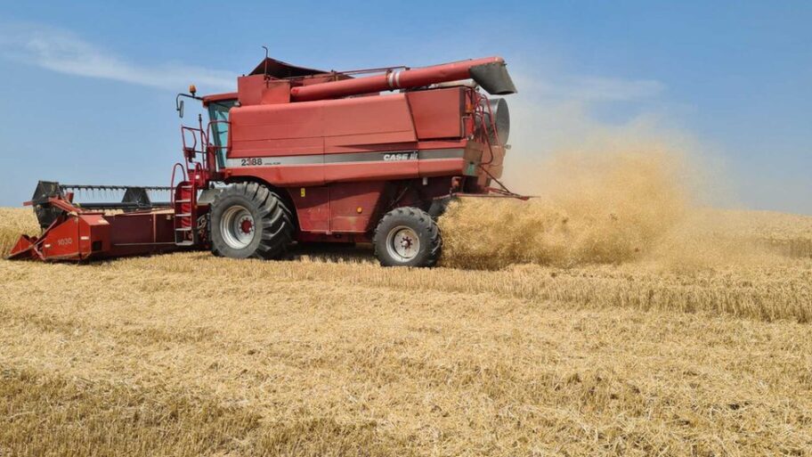 126233656 img 09905161fc918457299c6e1721e21155 v