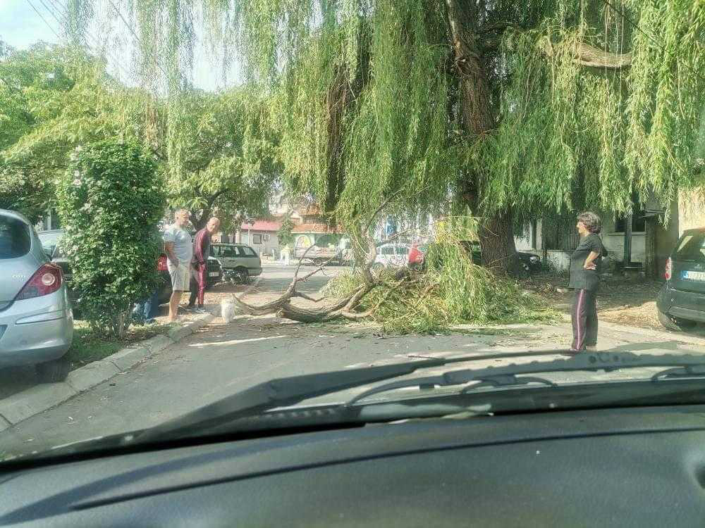 pala grana primorska ulica foto citalac