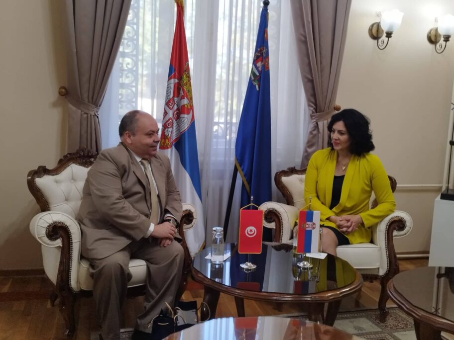 Niš kao čvorište za turiste iz Tunisa ka drugim zemljama - na pomolu nova saradnja 15 saradnja