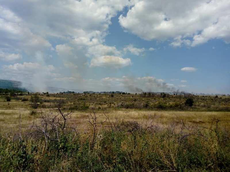 Preko 1.300 požara u avgustu na otvorenom, MUP apeluje na građane da ne pale travu i rastinje 16 trav