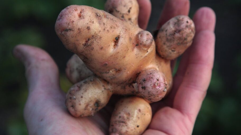 120449691 a6110d57 baaa 4b57 9e2b 384c2b64be32