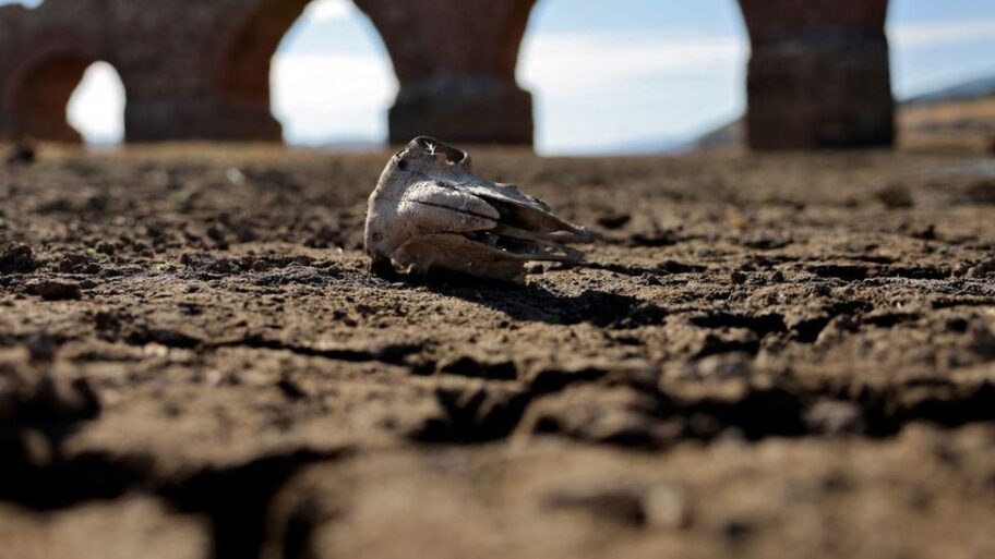 126356033 gettyimages 1242543123